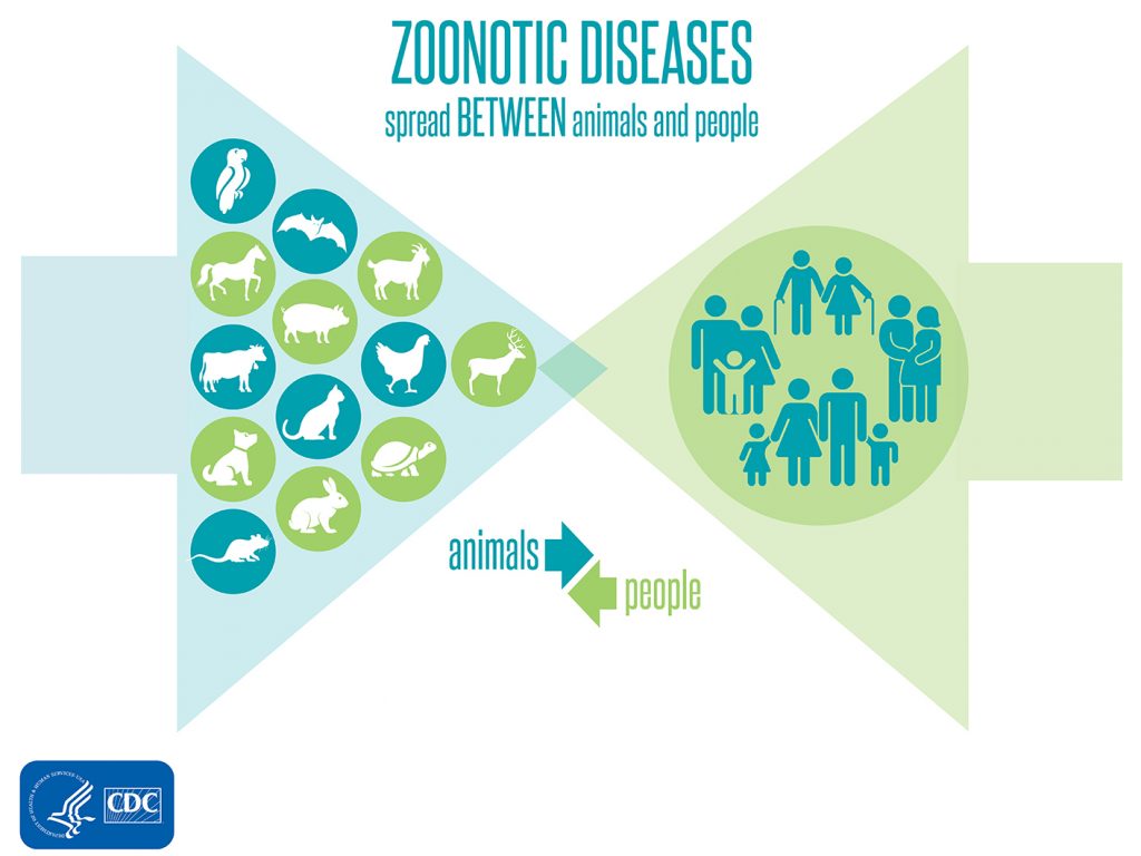 zoonotic-diseases